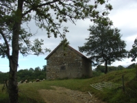 DSC04499